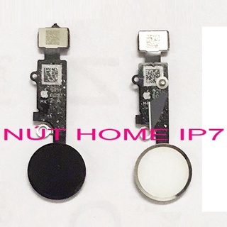 Nút home ip7 màu đen