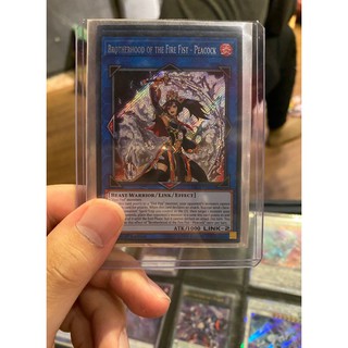 Lá bài thẻ bài Yugioh Brotherhood of the Fire Fist - Peacock - Secret Rare - Tặng bọc bài nhựa bảo quản