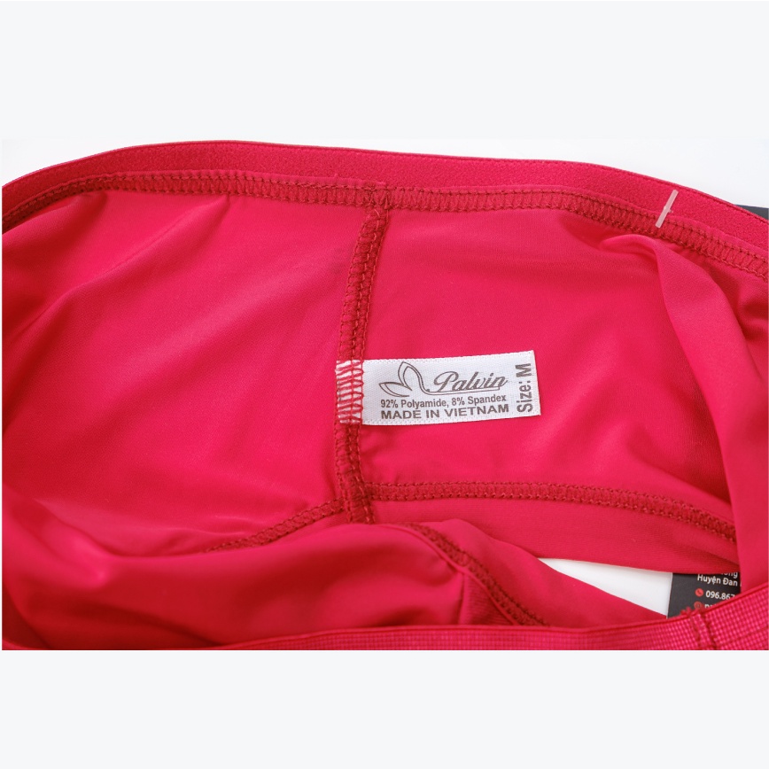 [Mã LT20 giảm 20K đơn 150K] Quần lót nữ PALVIN, quần chip nữ dáng modern brief, thun lạnh, trơn màu - DLN07 | BigBuy360 - bigbuy360.vn