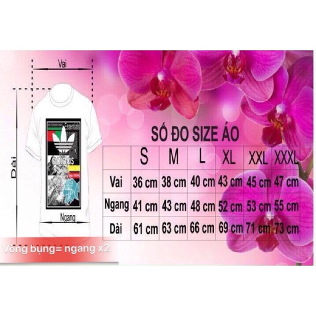 Áo hoodie hinh ng bóng rổ có bigsize