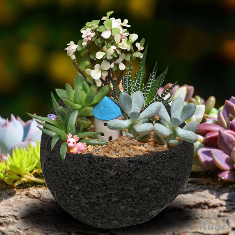 Abstract Space Meteorite Shaped Succulent Cactus Flower Pot/Plant Pots/Planter/Container for Home Garden Office Desktop Decoration