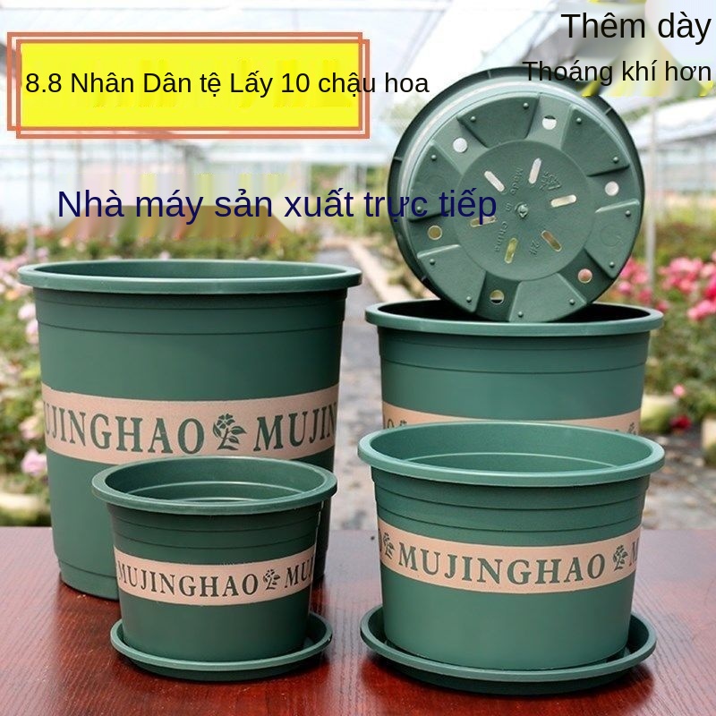 ∋♣㍿Nhà máy bán hàng trực tiếp lọ hoa gallon nhựa nhựa hoa hồng xanh thì là in ban công hộ gia đình lọ hoa lớn giải phóng