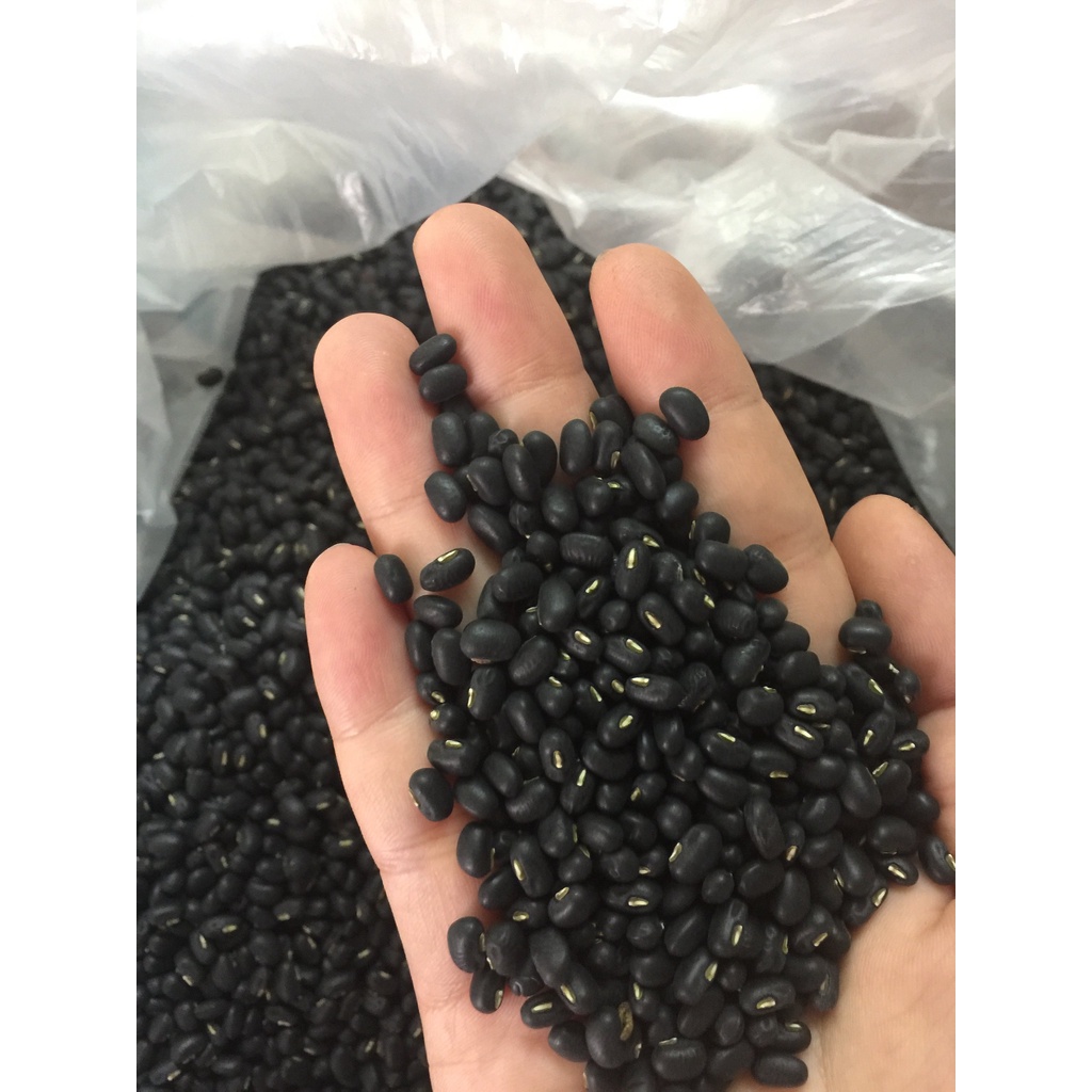 Đậu đen xanh lòng