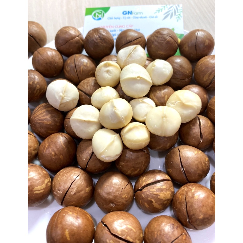 Macca Việt Nam Hạt Macca Nứt Vỏ Nhân Mập Giòn Chất Lượng Trên Từng Hạt - Túi 500g/1kg