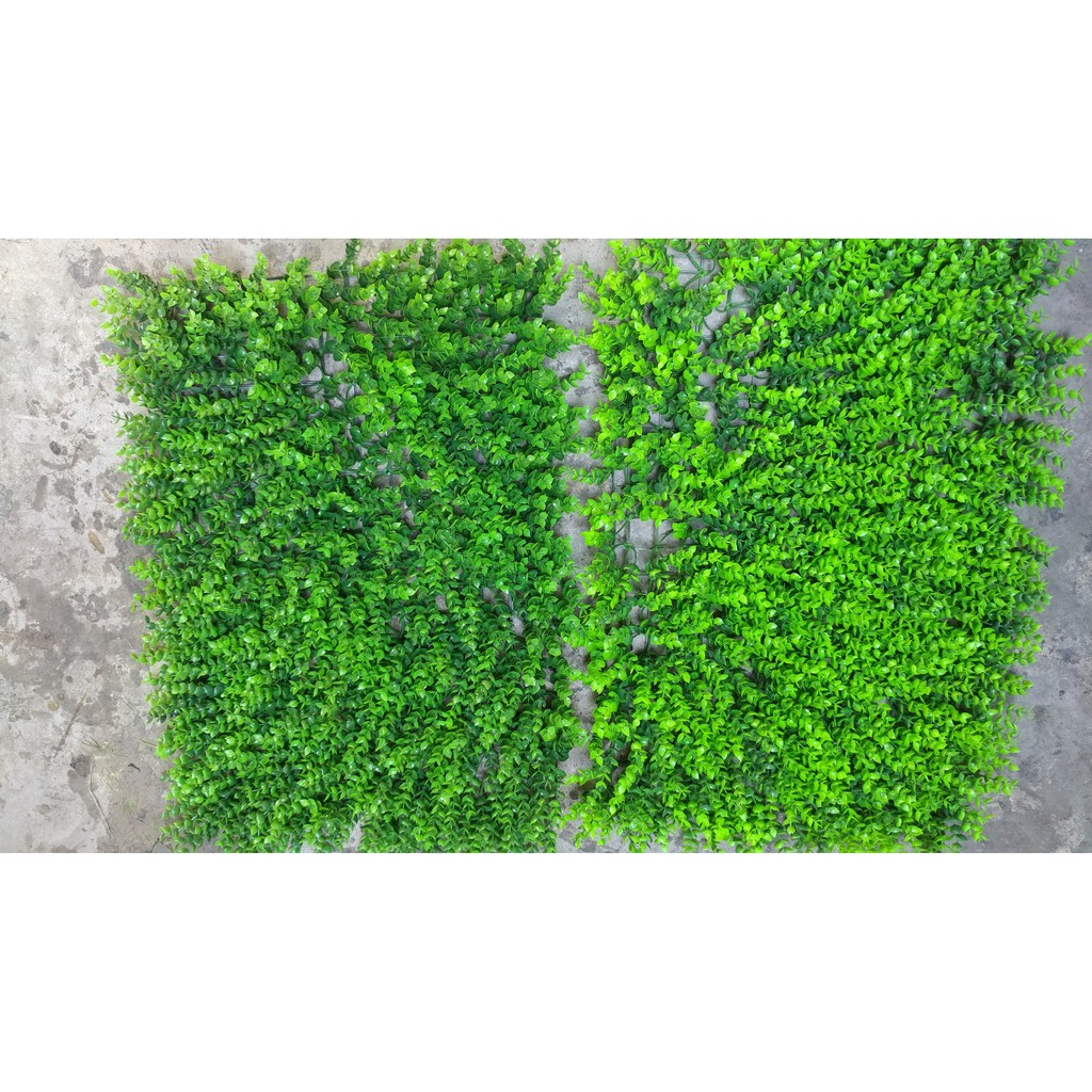 Thảm cỏ nhân tạo - Combo 6 tấm tai chuột tường cây giả trang trí