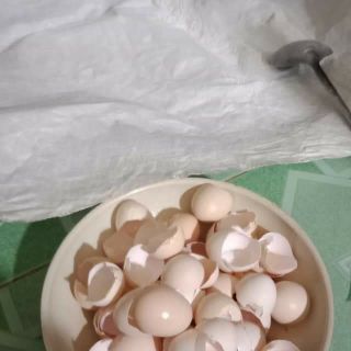 BÁNH THUẨN 3 KHÔNG (50 cái)