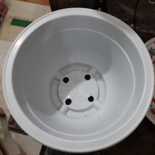 10 chậu nhựa tròn 24cm