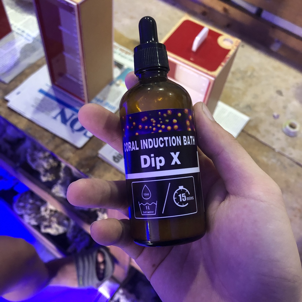 DIP SAN HÔ DIPX 100ML - REDSEA