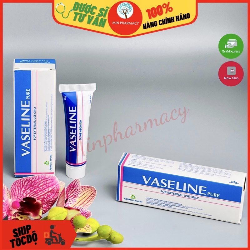 Kem dưỡng ẩm VASELINE Pure Agimexpharm (Tuýp 10g) - Minpharmacy