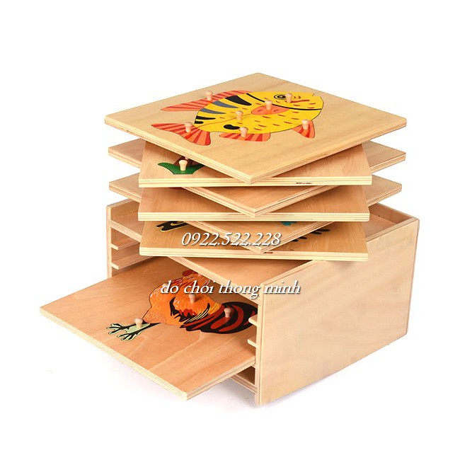 [bản quốc tế cao cấp] Ghép hình sinh học Montessori loại gỗ dày - núm gỗ