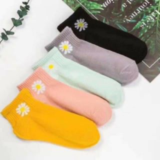 Set tất gấu hoa cúc trend