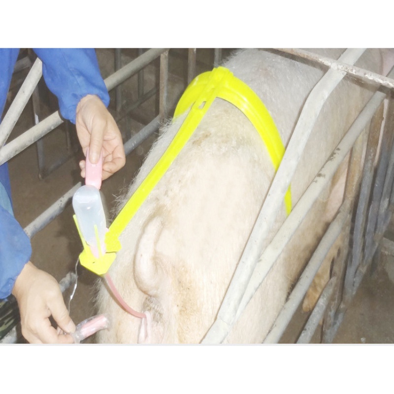 Giá đỡ thụ tinh Dương ninh cho heo phói tinh lợn GD48