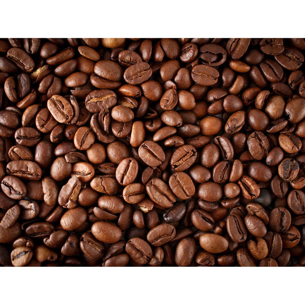 Cà phê nguyên chất 100% Coffee Tree đặc biệt 500gr thơm ngon, đậm đà