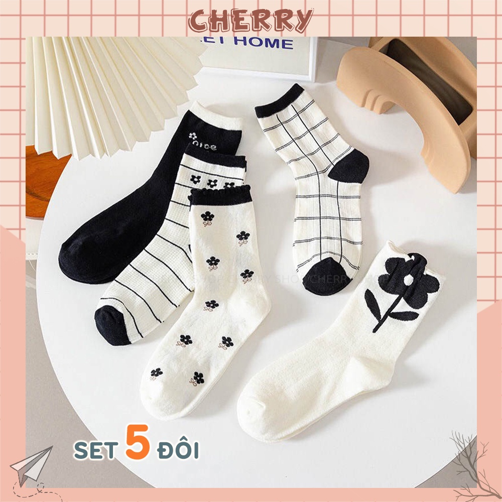 Tất cổ cao nữ phong cách Hàn Quốc cá tính, set 5 đôi vớ tất nữ cực xinh - Cherry Shop