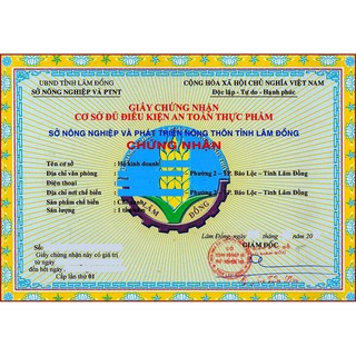 Bột Diếp Cá Nguyên Chất 1kg