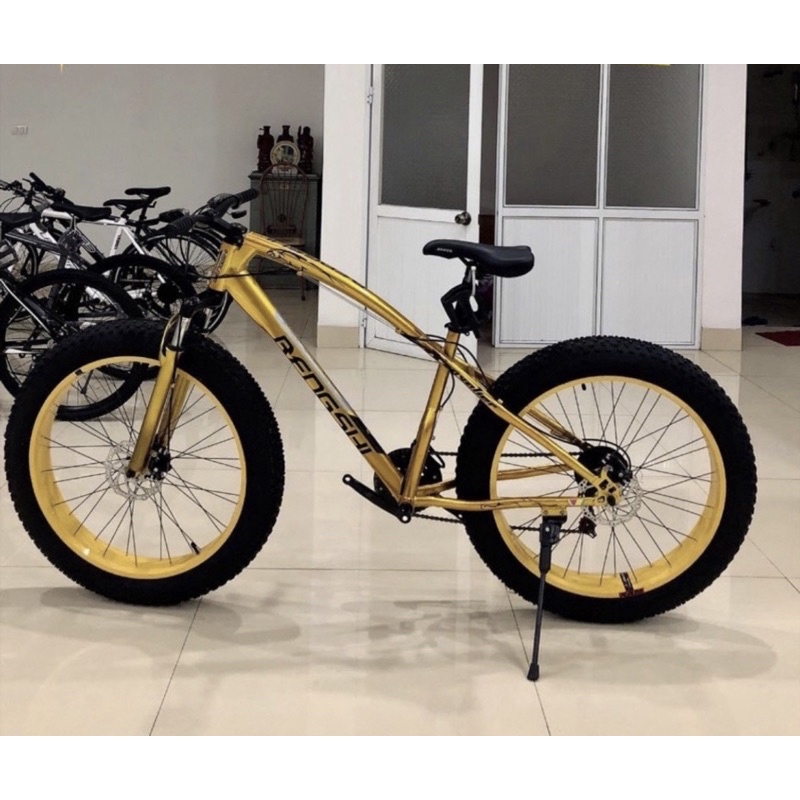 Xe đạp Thể Thao Bánh béo Bengshi shimano- Hình Thật Của Shop - Cam Kết Chính Hãng