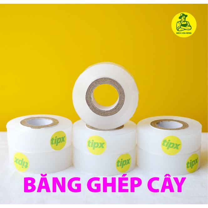 BĂNG KEO GHÉP CÂY TIPX - tự hủy, tự dính, bảo vệ mối ghép