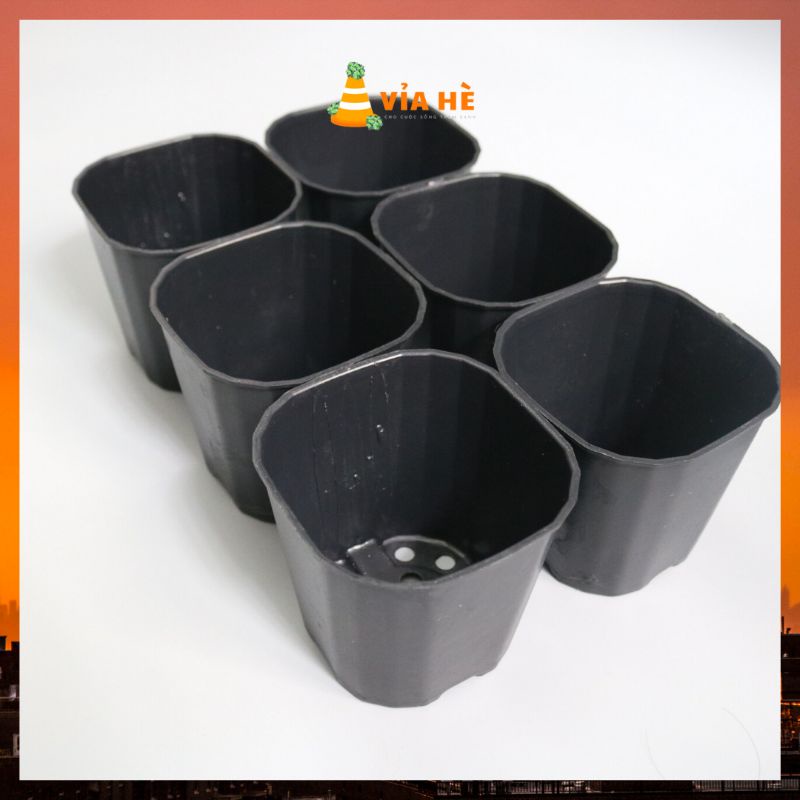 Chậu nhựa vuông cứng đen trắng mini trồng sen đá và xương rồng nhiều size