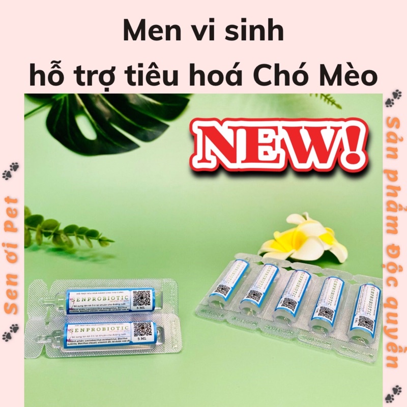 Men vi sinh tăng đề kháng và tính thèm ăn Chó Mèo