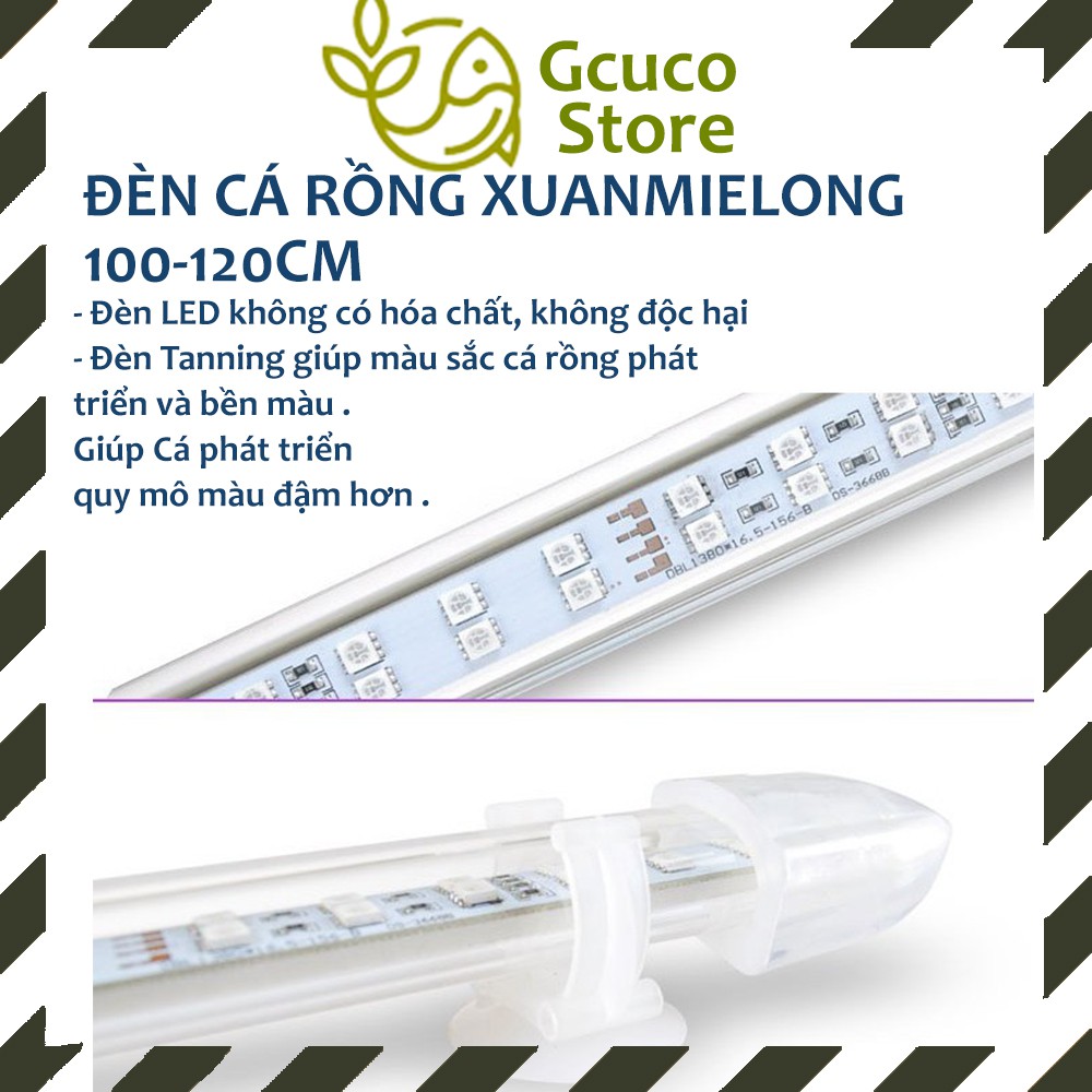 Đèn thủy sinh, đèn hồ cá, đèn led hồ cá rồng xuanmeilong 1m và 1m2 cho hồ cá rồng XML