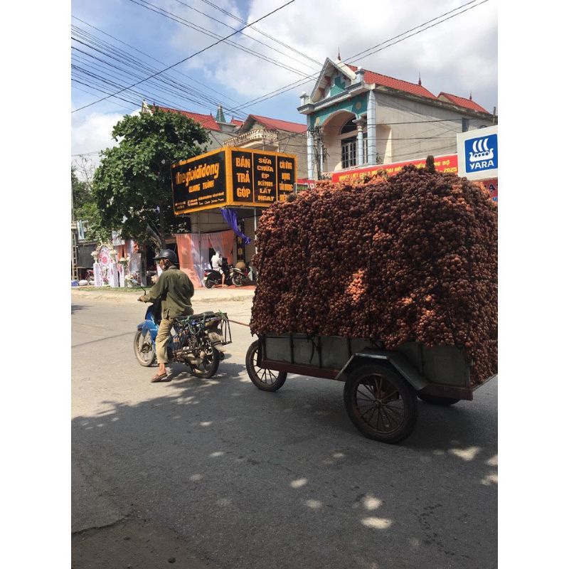 HÀNH TA KHÔ KINH MÔN HẢI DƯƠNG 1KG | BigBuy360 - bigbuy360.vn