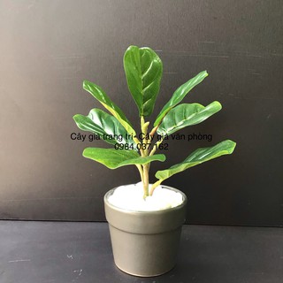 Cây bàng giả mini để bàn trang trí- Cây giả