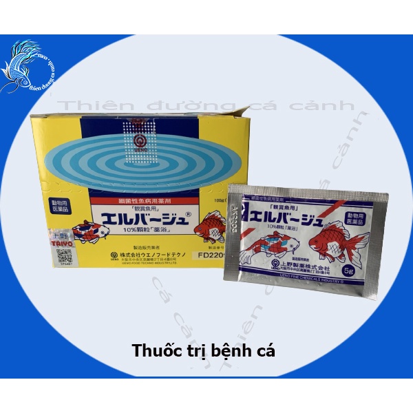 Tetra Nhật , trị nấm , xuất huyết , dưỡng cá nhanh khỏe