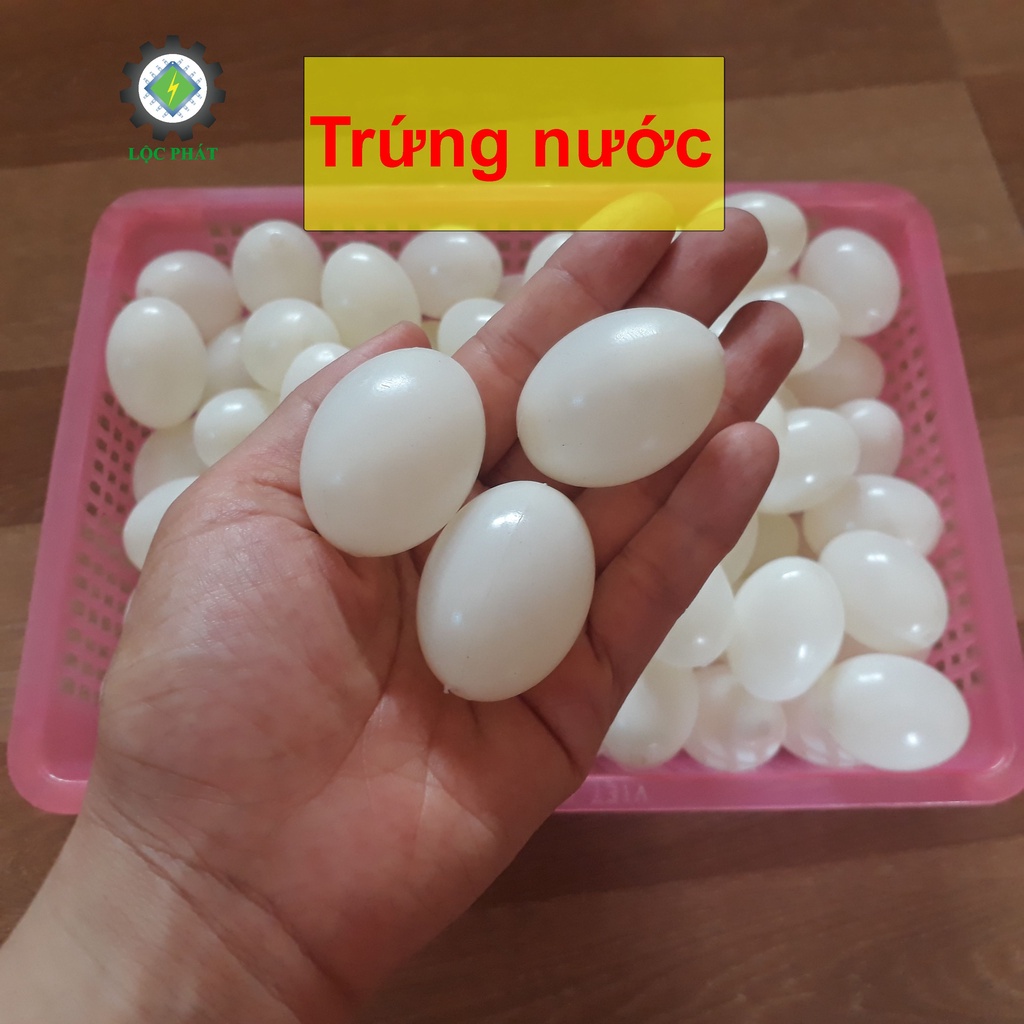 Trứng bồ câu giả, nước bên trong, vỏ nhựa dày không méo, màu trắng cho chim ấp TRN-TR1VC