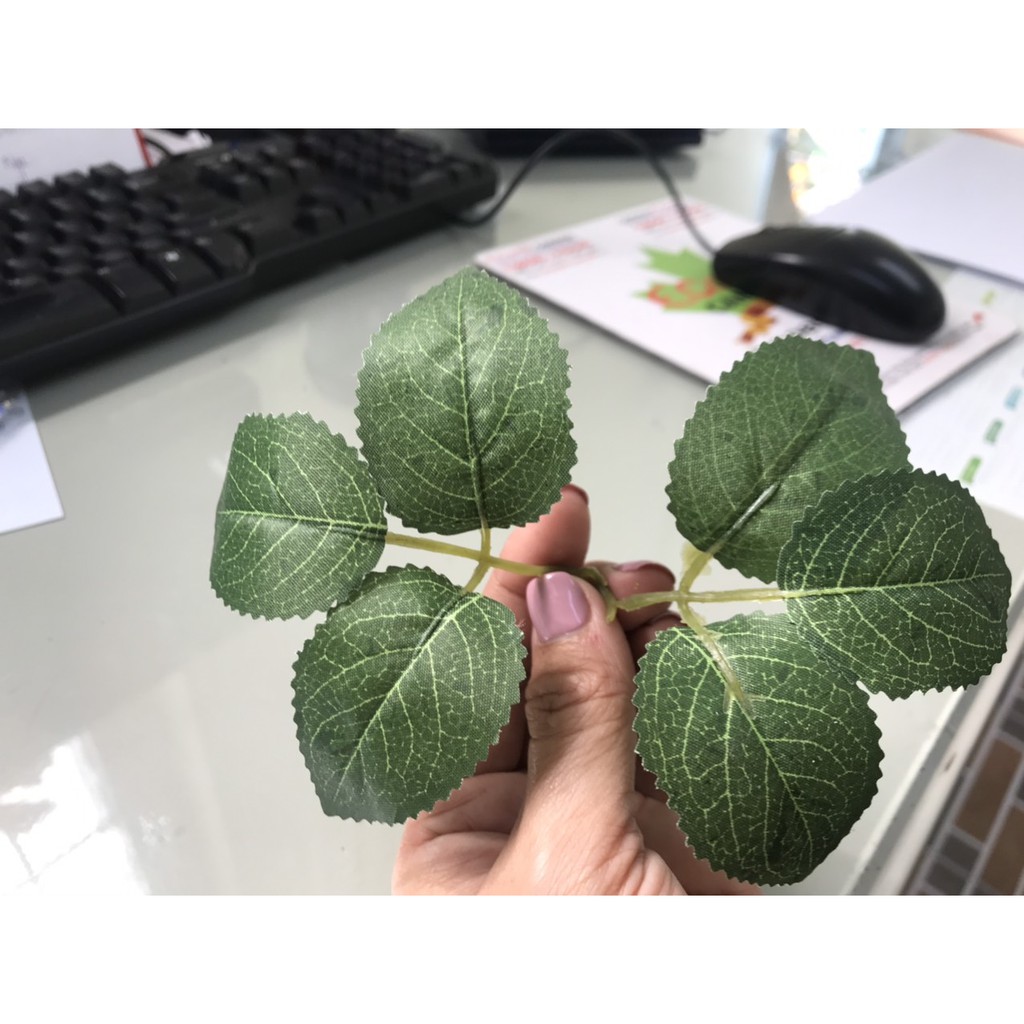 Lá hoa hồng nhập có gân rất đẹp và nhẹ