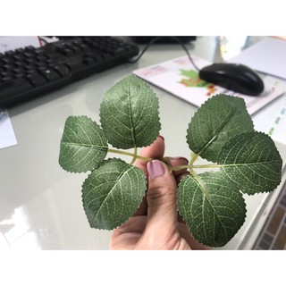 10 lá hoa hồng có vân 6 lá