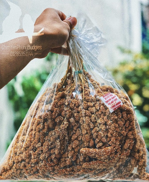 1kg kê chùm/kê bông cho Pet