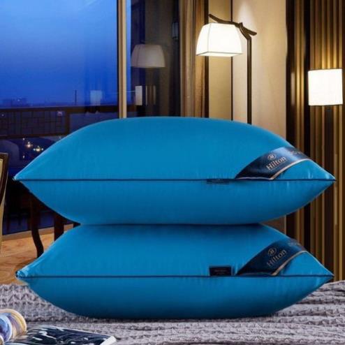 Set 2 ruột gối đầu cao cấp Hilton Ép Hơi, Có Khoá Kéo - Kích Thước 45x65cm