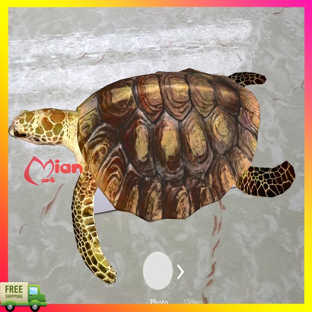 Bộ thẻ animal 4d hình ảnh động thực vật sinh động - MIAN MART