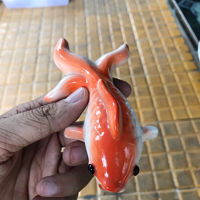 CÁ CHÉP TRANG TRÍ HỒ CÁ NON BỘ DÀI 14CM