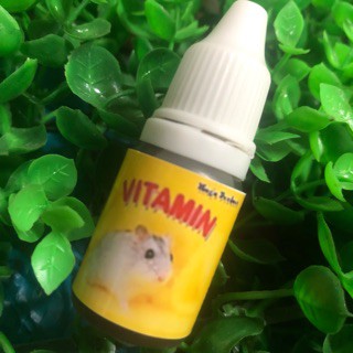 Vitamin cho chuột Hamster
