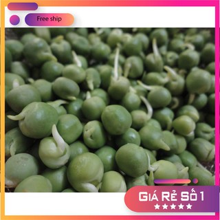 Hạt giống rau mầm đậu hà lan 50 gram lucky.vn