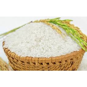 Gạo Hương Sen Thượng Hạng  5Kg - Thái Dương