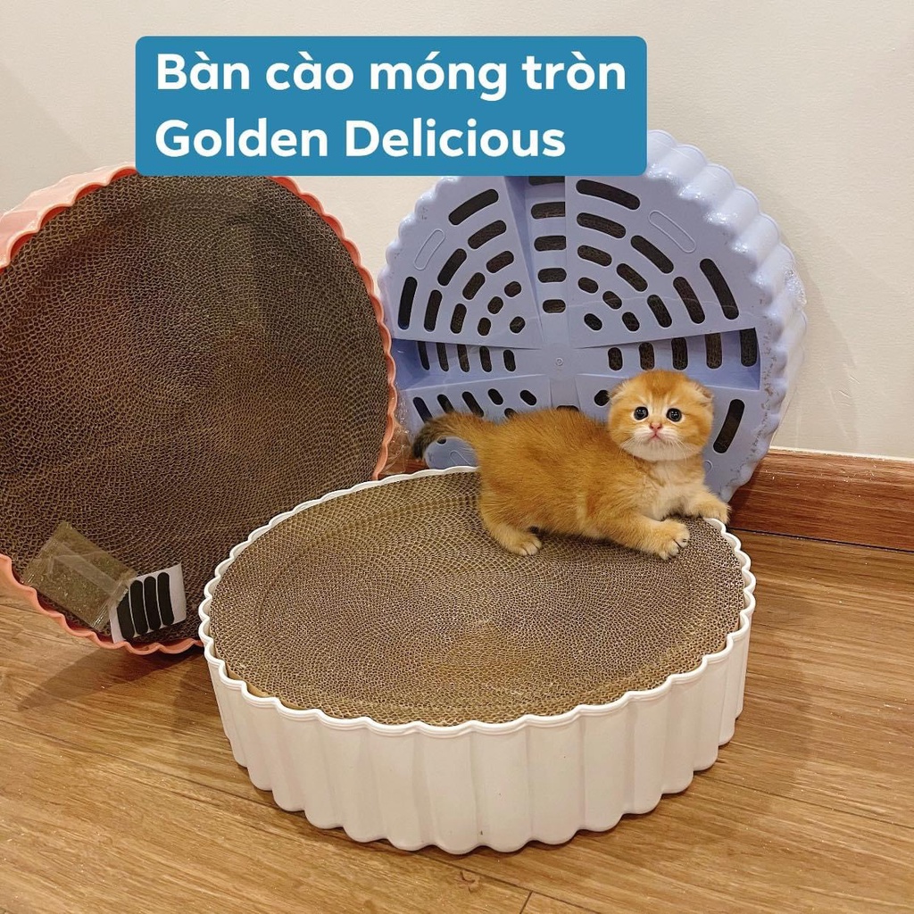 Bàn Cào Móng Hình Tròn Kiêm Đệm Nằm Cho Mèo Size Lớn 39cm (Có Lõi Thay Thế Tiết Kiệm) - Ảnh Thật Sản Phẩm Kèm Người Mẫu