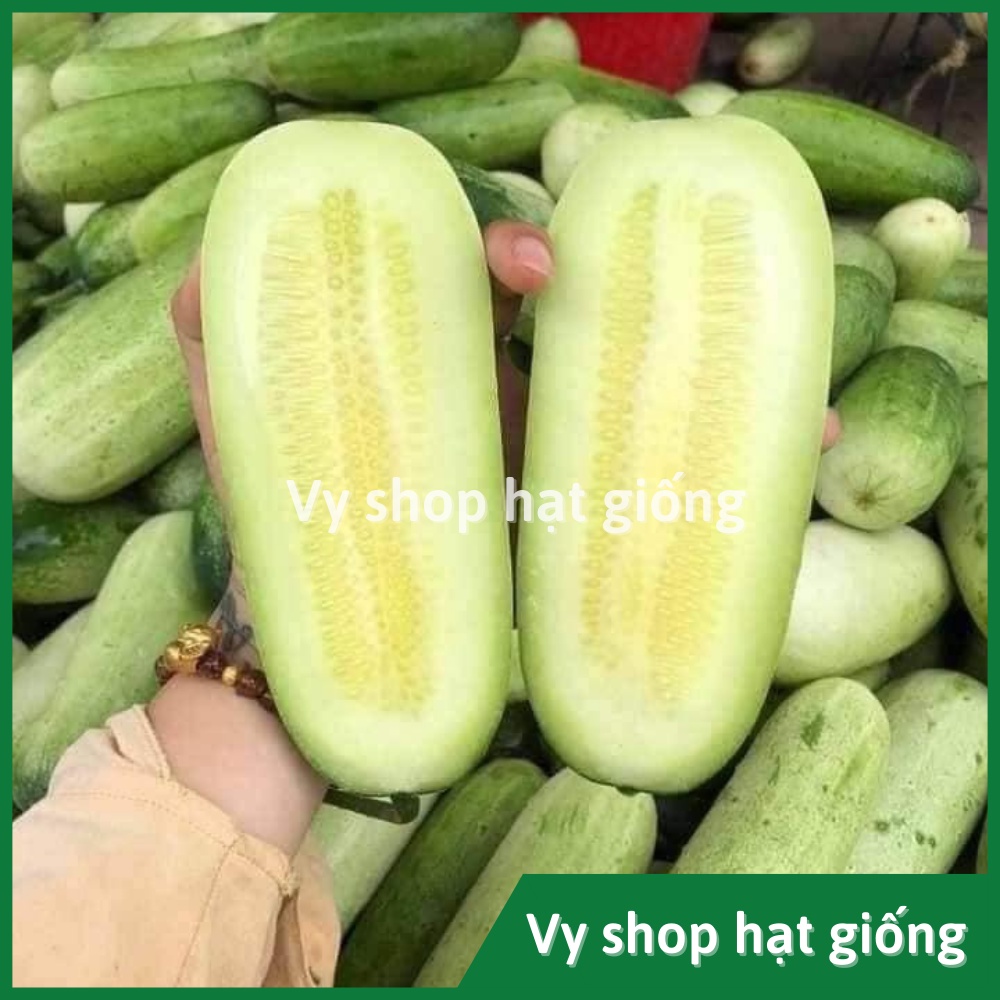 Hạt giống dưa chuột mèo  Thái Lan gói 200 hạt