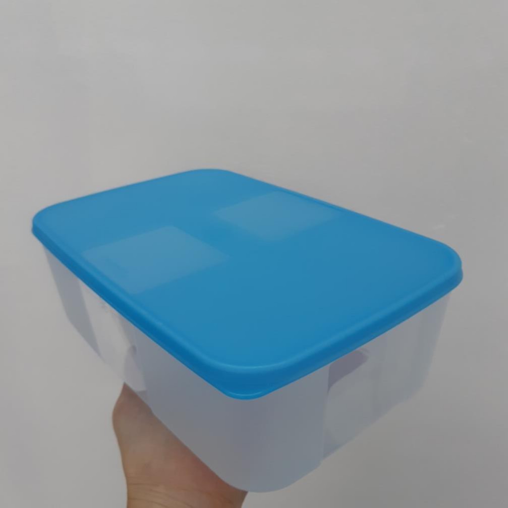  Hộp trữ đông Tupperware Bảo Quản Thực Phẩm Tươi Sống Trong Tủ Lạnh An Toàn Tiện Lợi