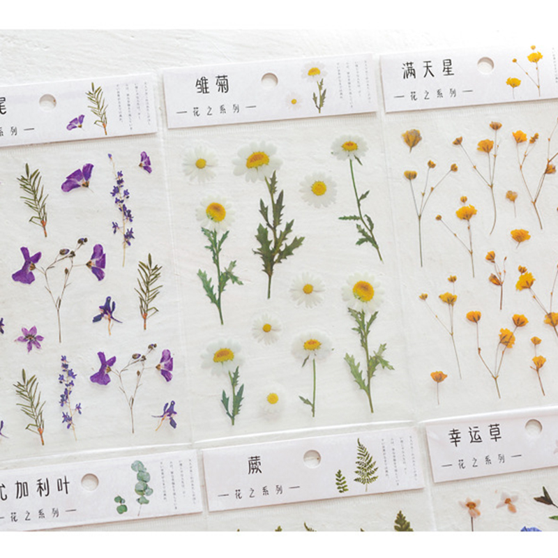 Miếng dán PET họa tiết hoa cúc trang trí sổ tay/Album DIY