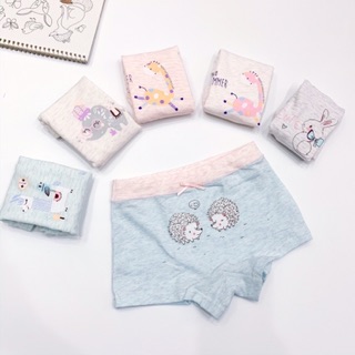 SET 3C QUẦN CHIP ĐÙI CHO BÉ GÁI
