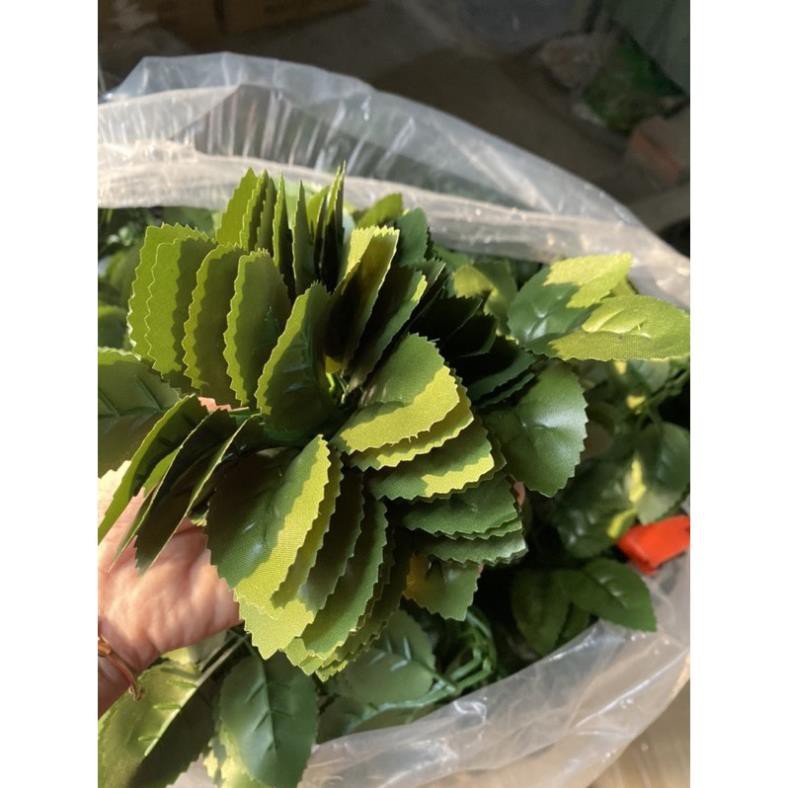 Lá hồng