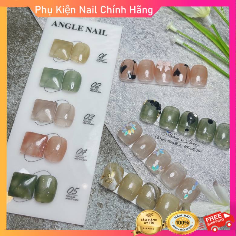 Set sơn móng tay thạch, sơn gel thạch 5 màu hàn quốc chính hãng chai angle