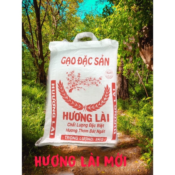 Gạo Đặc Sản Hương Lài Mới - Thơm Dẻo