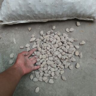 1kg đá núi lửa ( đá bọt) Indonesia Trồng Hoa Lan