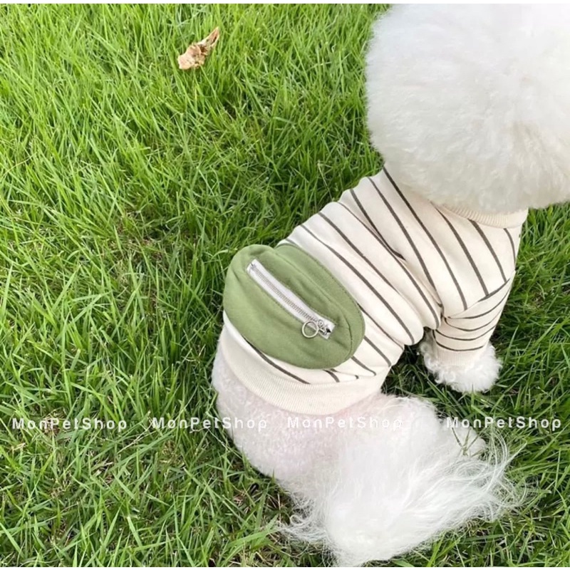 [Có sẵn] Áo thun có túi kéo khoá cho thú cưng