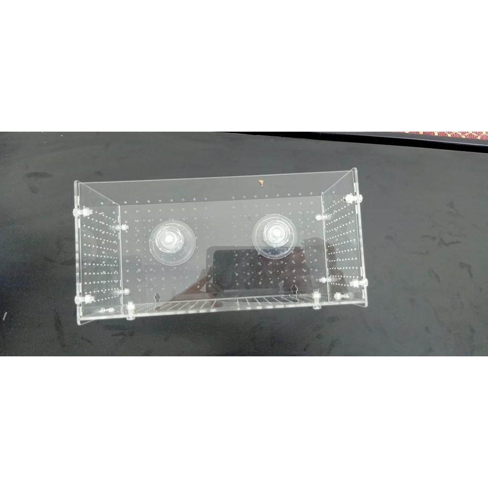 BOX TÉP/ CÁ - HỘP PHÂN NỀN GẮN SU HÍT KÍNH