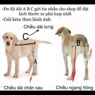 Xe lăn chó mèo liệt [Giảm 35%]
