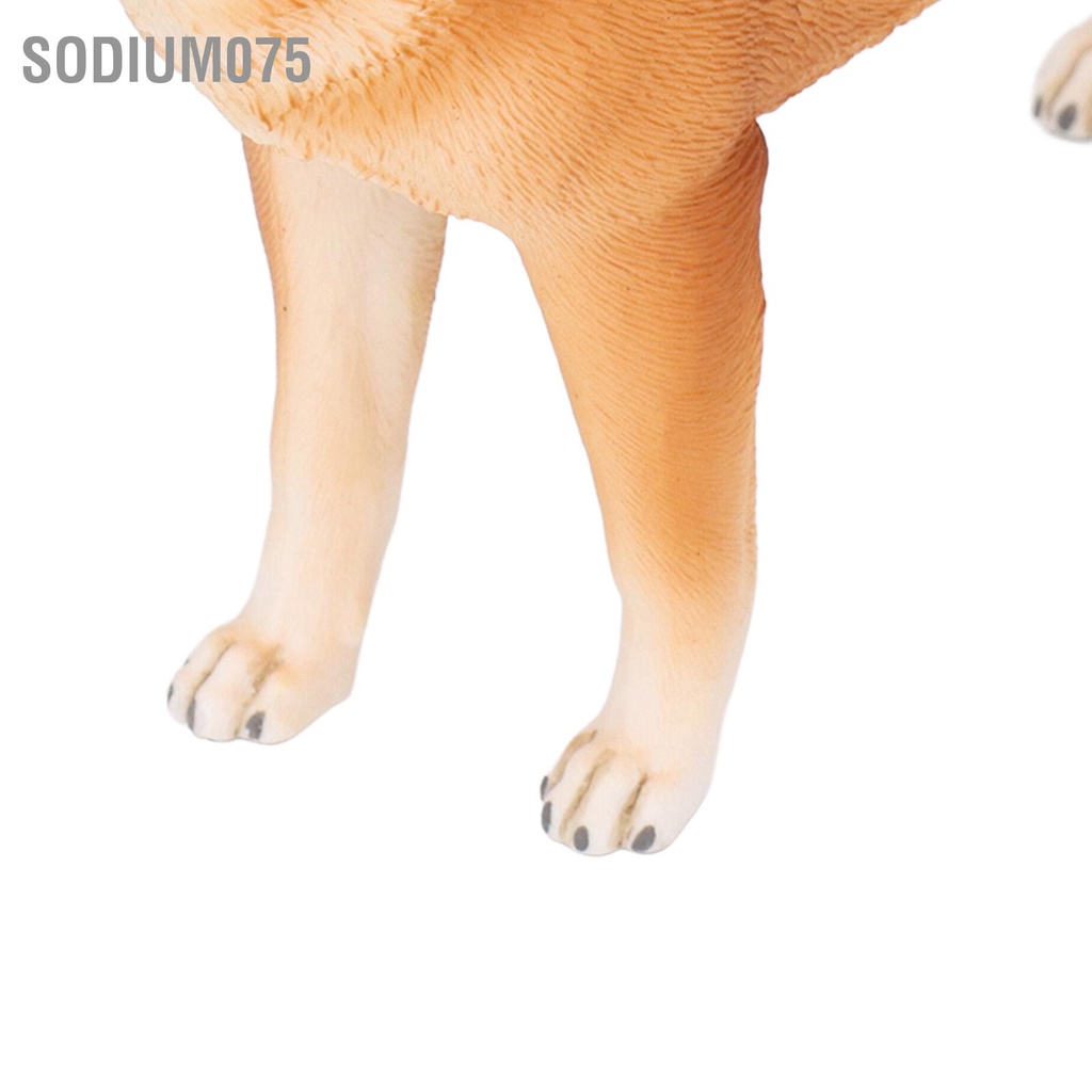 Sodium075 Dog Figurine Sống động như thật Không độc hại Đồ chơi trẻ em Mô hình vật bằng nhựa Trang trí cho Phòng ngủ Nghiên cứu